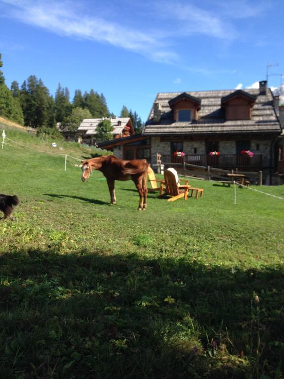 Agriturismo Il Fiocco Cesana Torinese Dış mekan fotoğraf